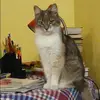 Отзыв от Ольга Зеленина